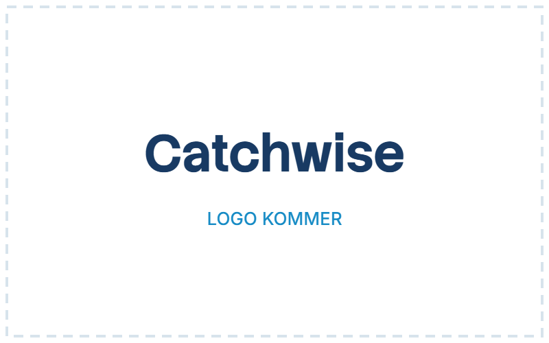 Logo Catchwise